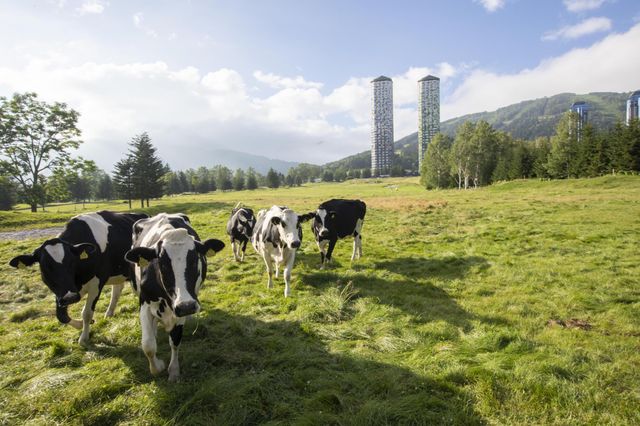 トマム ザ・タワー by 星野リゾート ファームエリア（イメージ）